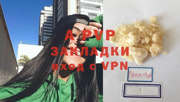apvp Алзамай