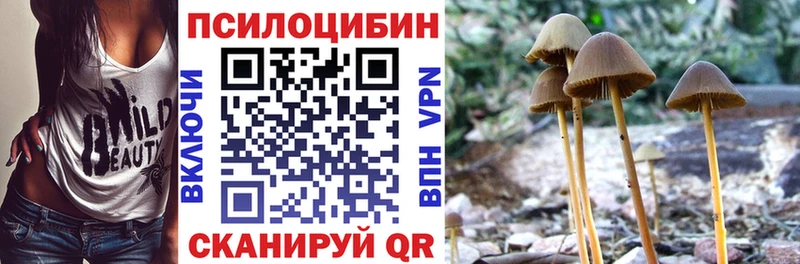 Галлюциногенные грибы MAGIC MUSHROOMS  закладка  Заполярный 
